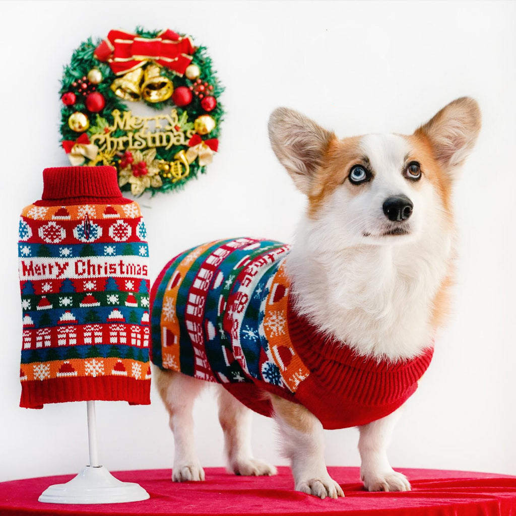 Wrapped in Festive Love — The Perfect Christmas Sweater for Dogs