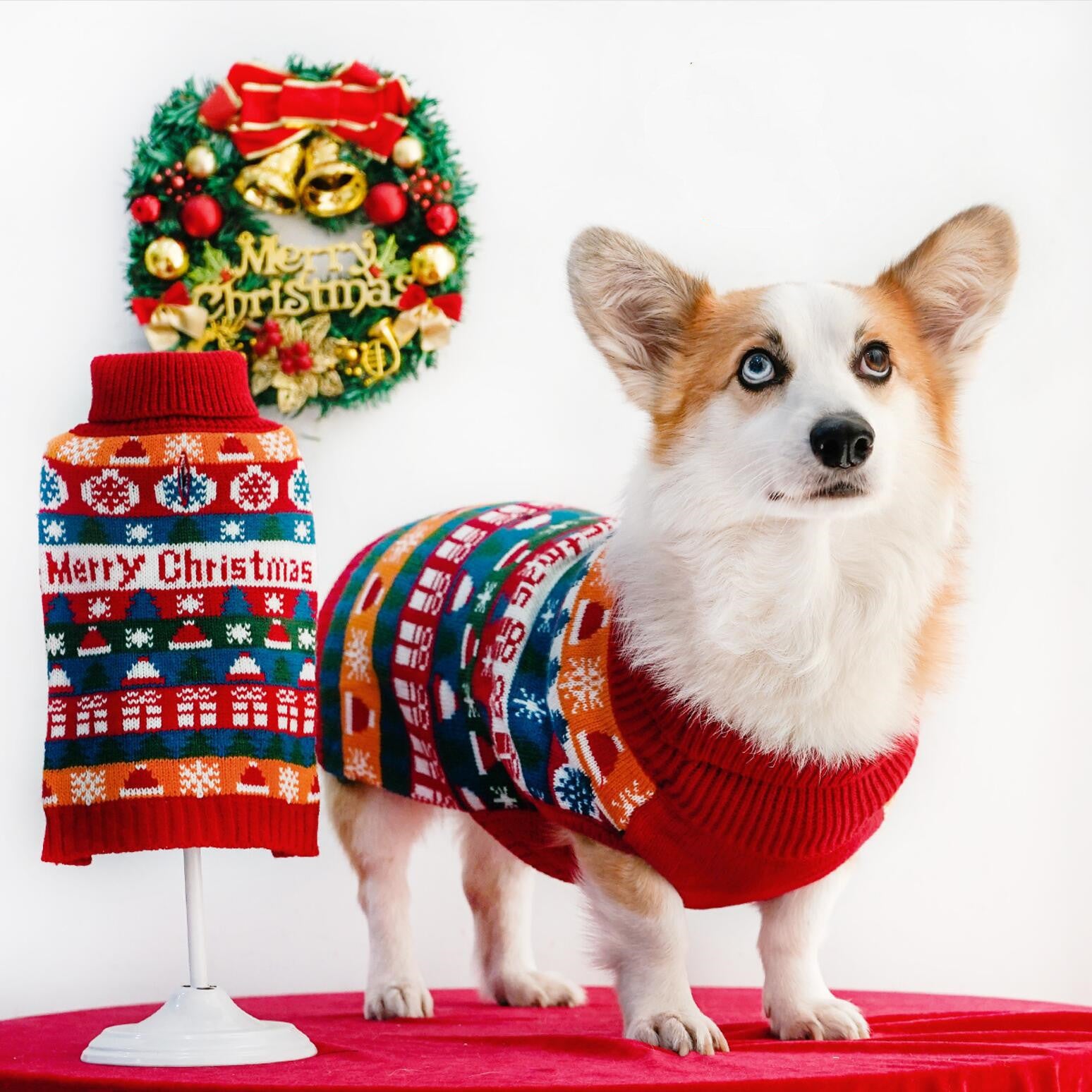 Wrapped in Festive Love — The Perfect Christmas Sweater for Dogs