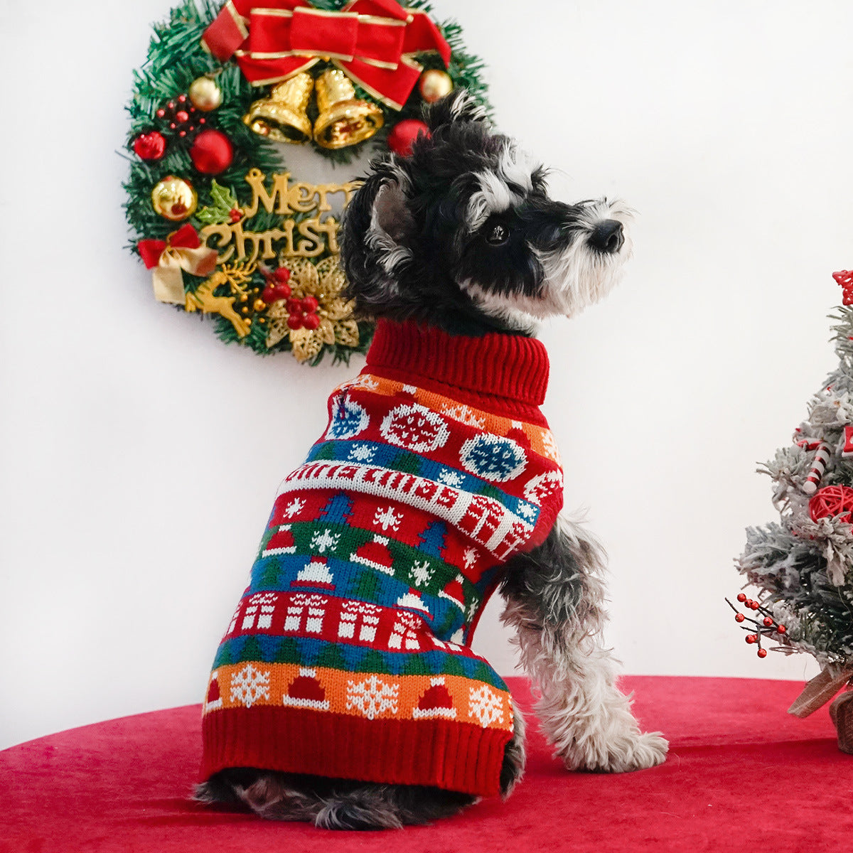 Wrapped in Festive Love — The Perfect Christmas Sweater for Dogs
