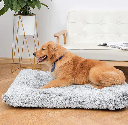 Plush and Cozy Square Pet Bed Wave Memory Foam Deep Sleep Dog Sofa Bed