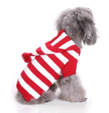 Love, Laughter, and a Little Red Sweater — Holiday Joy for Pets