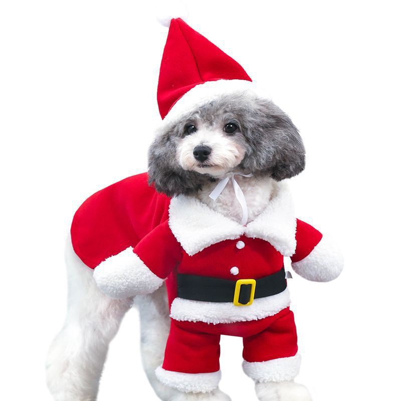 Festive Pet Christmas Outfit – Cute Standing Costume for Holiday Magic