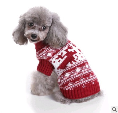 Love, Laughter, and a Little Red Sweater — Holiday Joy for Pets