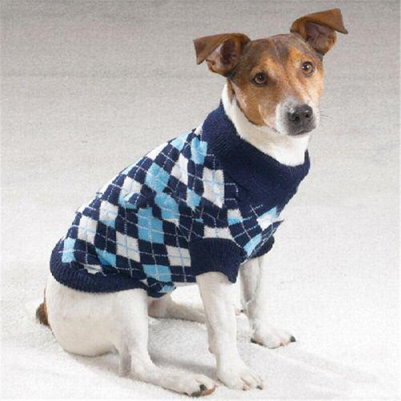 Warmth That Turns Heads — Fashion for Your Furry Friend