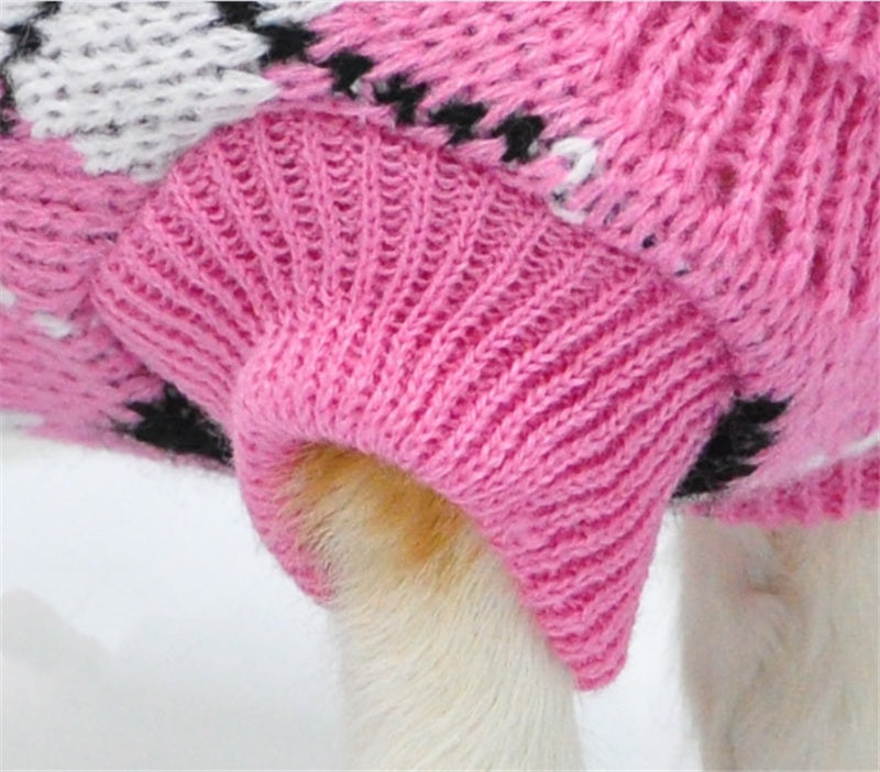 Warmth That Turns Heads — Fashion for Your Furry Friend