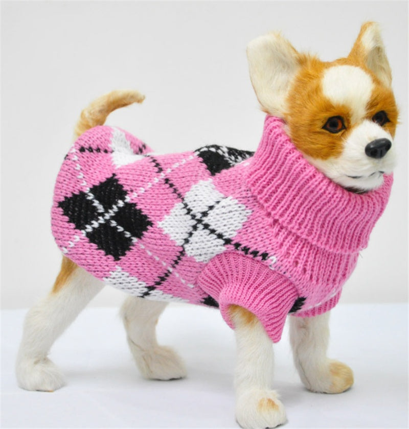 Warmth That Turns Heads — Fashion for Your Furry Friend