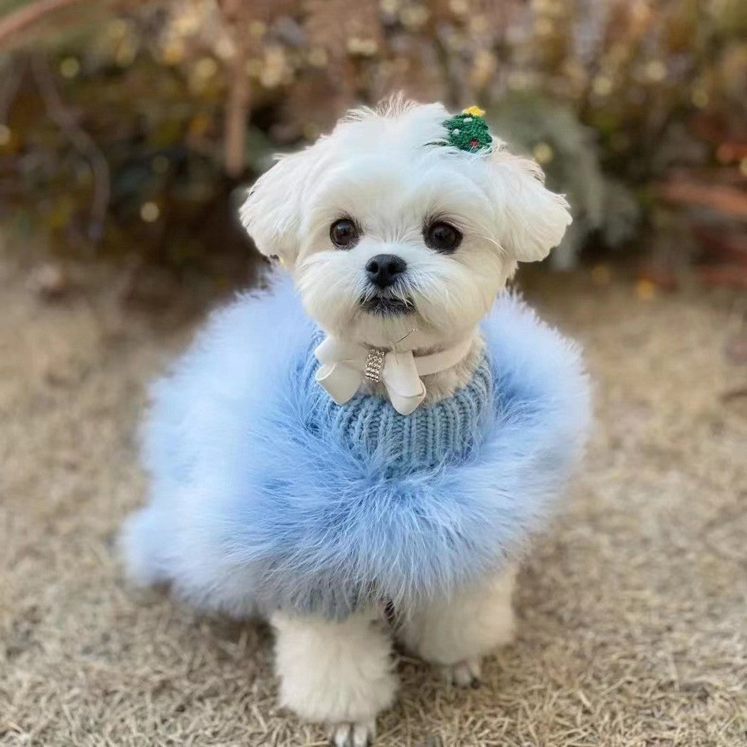 For the Pet Who Turns Heads — Cozy Meets Couture