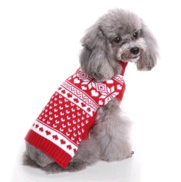 Love, Laughter, and a Little Red Sweater — Holiday Joy for Pets