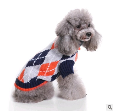 Love, Laughter, and a Little Red Sweater — Holiday Joy for Pets