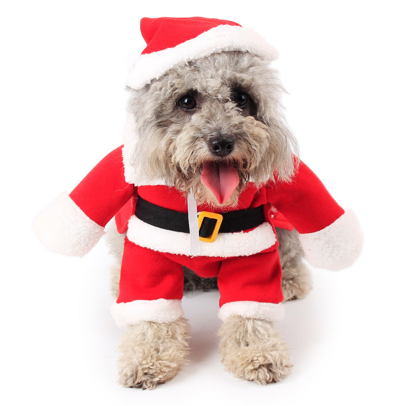 Festive Pet Christmas Outfit – Cute Standing Costume for Holiday Magic