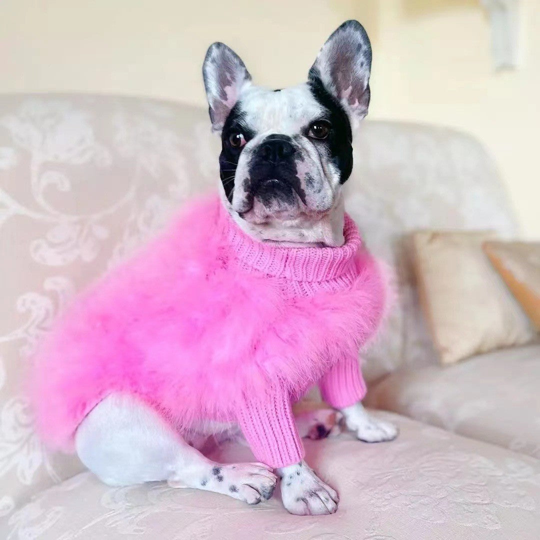 For the Pet Who Turns Heads — Cozy Meets Couture