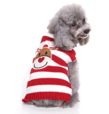 Love, Laughter, and a Little Red Sweater — Holiday Joy for Pets