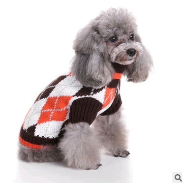Love, Laughter, and a Little Red Sweater — Holiday Joy for Pets