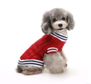Love, Laughter, and a Little Red Sweater — Holiday Joy for Pets
