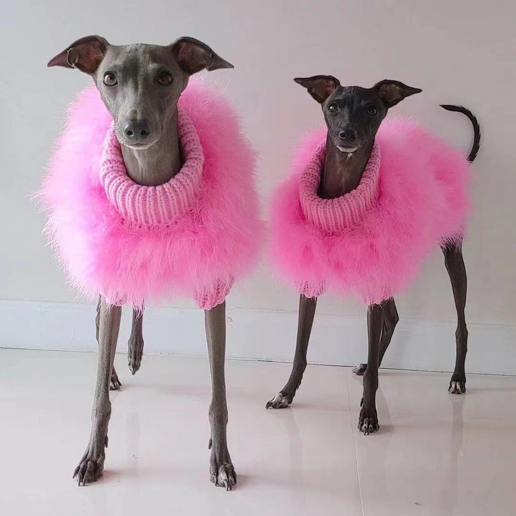 For the Pet Who Turns Heads — Cozy Meets Couture