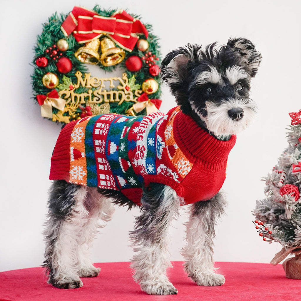Wrapped in Festive Love — The Perfect Christmas Sweater for Dogs